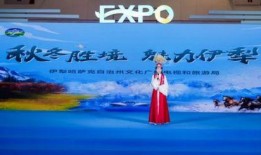 伊犁文旅局爆料新闻视频,新闻视频背后的精彩故事